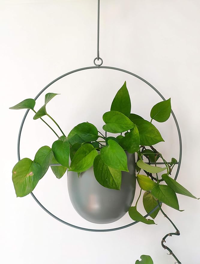 Boho Green Metal Plant Hanger,Metal Wall and Ceiling Hanging Planter, Modern Planter, Mid Century Flower Pot Plant Holder, Minimalist Planter for Indoor Outdoor Home Decor