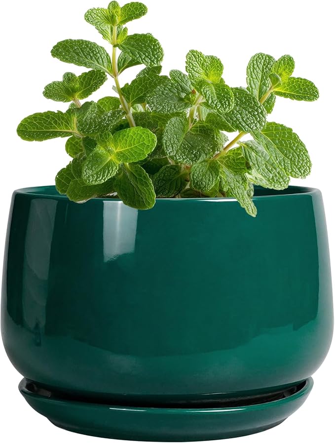 G EPGardening 4 inch Plant Pots - Small Ceramic Planter with Drainage Hole & Tray, Succulent Pots Indoor Outdoor, Round Modern Planter, Decorative Flower Pot, Desk Decor, Gifts for Plant Lover, Green