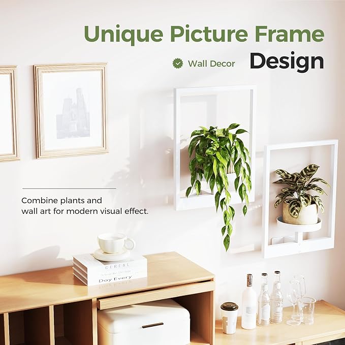 Bamworld Wall Plant Hanger Indoor Wall Planters for Indoor Plants Window Plant Shelves Wall Plant Holder Plant Stand Indoor Wall Decor, Plant Decor, Room Decor, White (Patent Design)