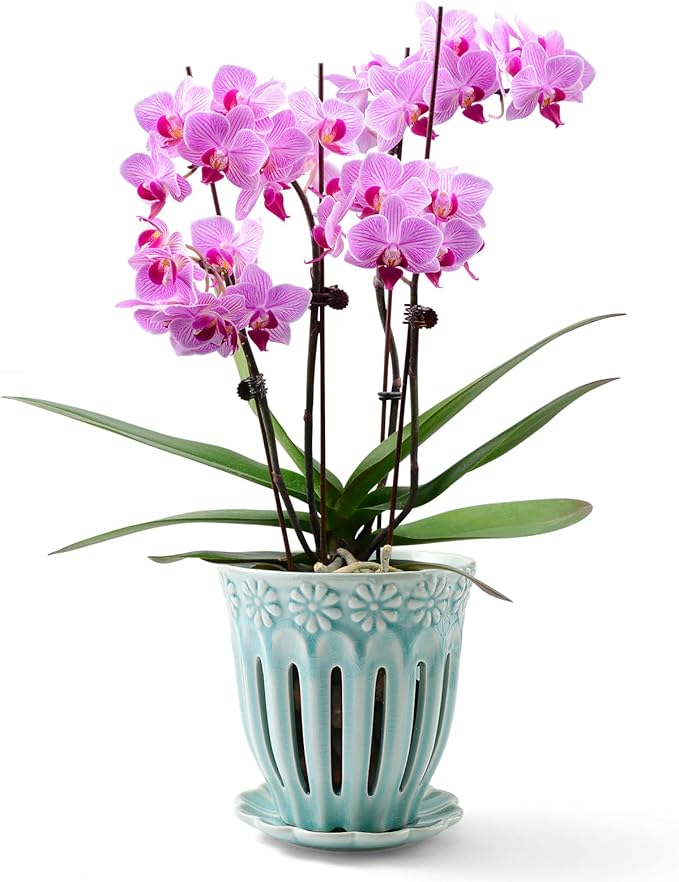 5" Ceramic Orchid Pot with Holes | Crackle Glazed Pot with Drainage and Separate Saucer | Ideal Plant Pot for Repotting Orchids and Other Flowers (Blue)