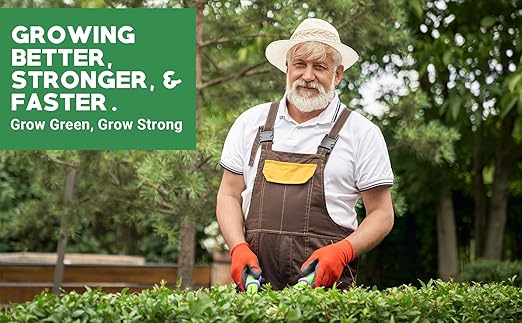 6-6-6 All-Purpose Professional Plant Food Fertilizer; Ideal for Winter Care & Spring Feeding, Perfect Balanced NPK for Indoor and Outdoor Plants (1/2 Quart)