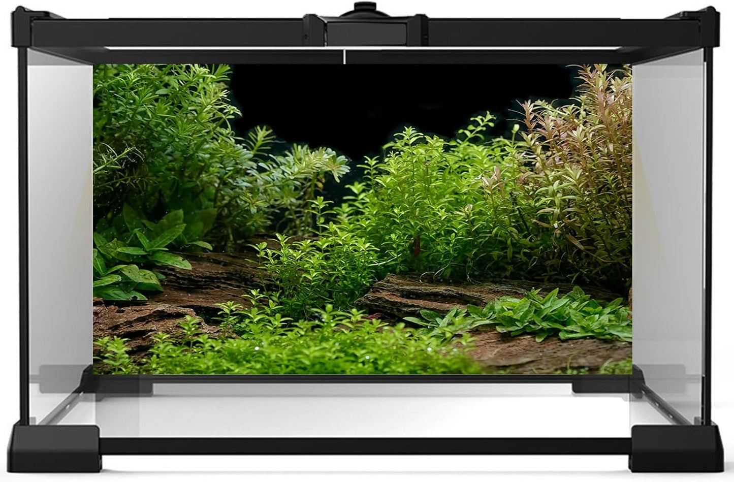 Aquarium Background Underwater Green Grass Leaves Stone Aquarium Backdrop Vivid and Fresh Green Aquatic Plant Stone River Bed and Lake Fish Tank Background Decor Vinyl 72x24in