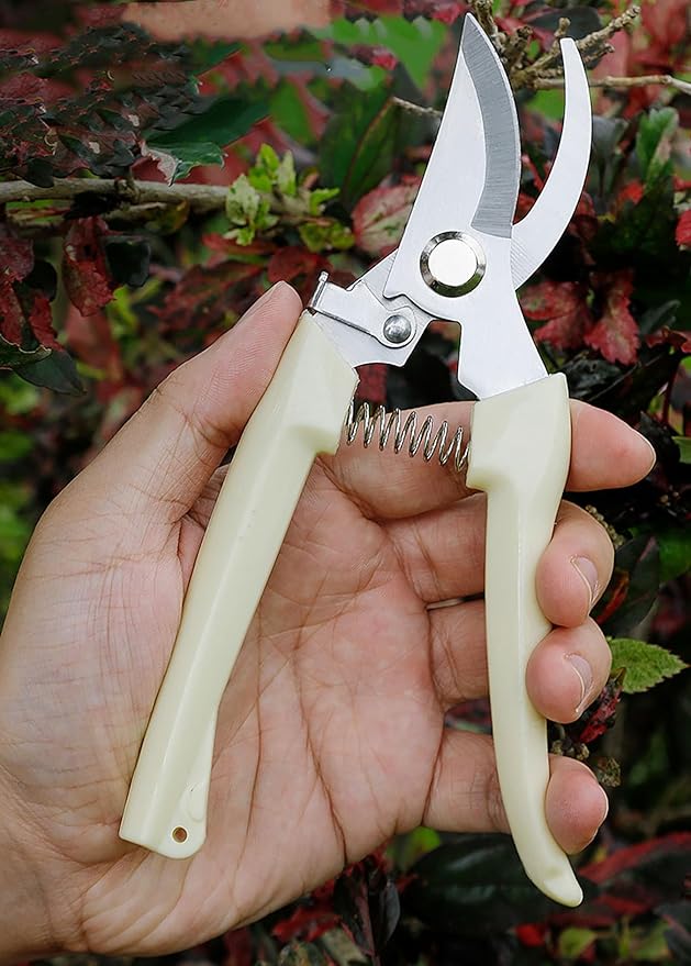 2PCS Garden Flower Shears Pruning Shears 6.9 inches Scissors Heavy Duty Plant Scissors for Cutting Flowers, Trimming Plants, Bonsai, Fruits Picking (White Handle 2pcs)