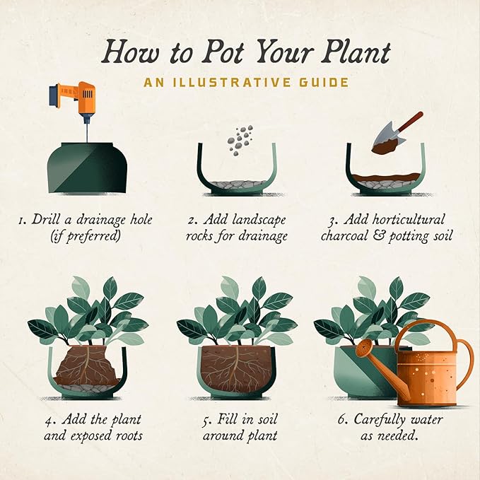 ARBORA 21" and 26” Santorini Bowls with Classic Black Finish - Polyresin Indoor and Outdoor Planters, Durable, Weatherproof, Lightweight, Large Plant Pots for Patio, Garden, Deck