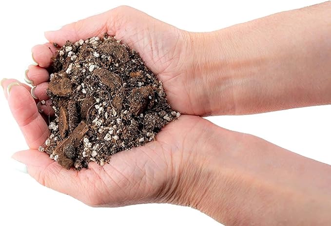 Banana Tree Potting Mix - High-Performance Formula for Vibrant Growth and Abundant Fruit Production - Unlock The True Potential of Your Banana Trees (20 Quart)