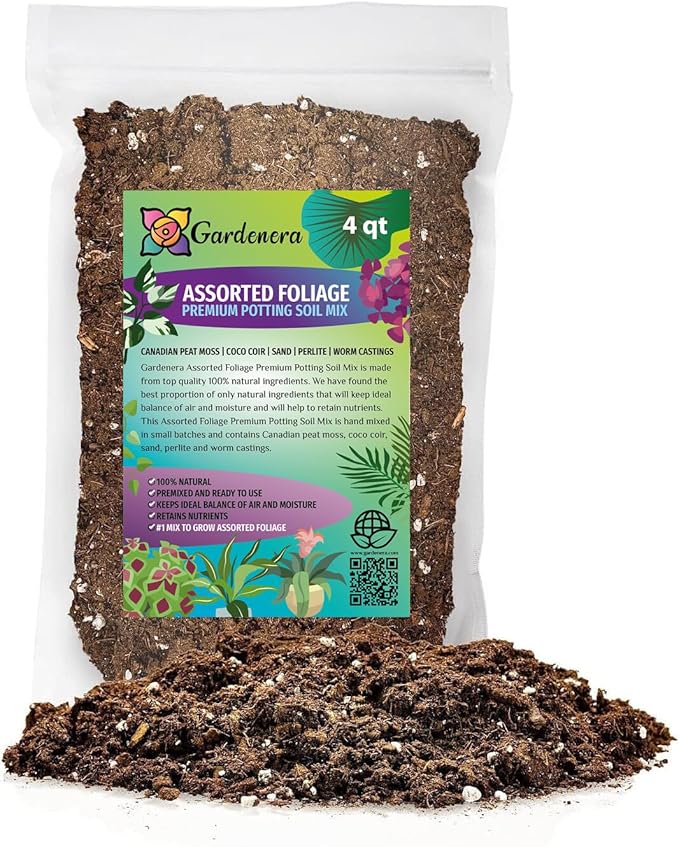 Assorted Foliage Potting Mix - Premium Quality Blend for Healthy Root Development and Striking Greenery - 4 Quart