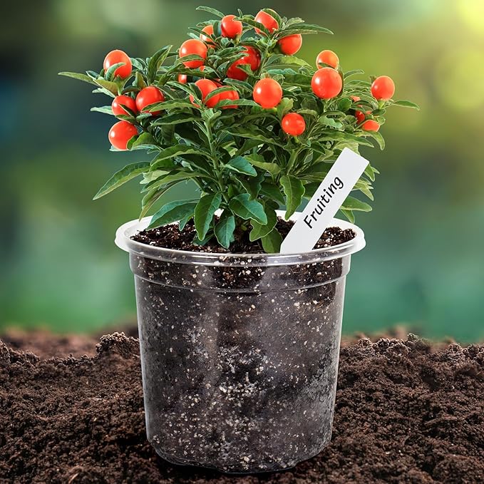 Bonviee 1 Gallon Clear Nursery Pots, 6.7 Inch Plastic Seedling Pots with Drainage Holes, Planters for Indoor Plants and Small Seed Starters, High Transparency Flower Pots with 10 Plant Labels, 20 Pack