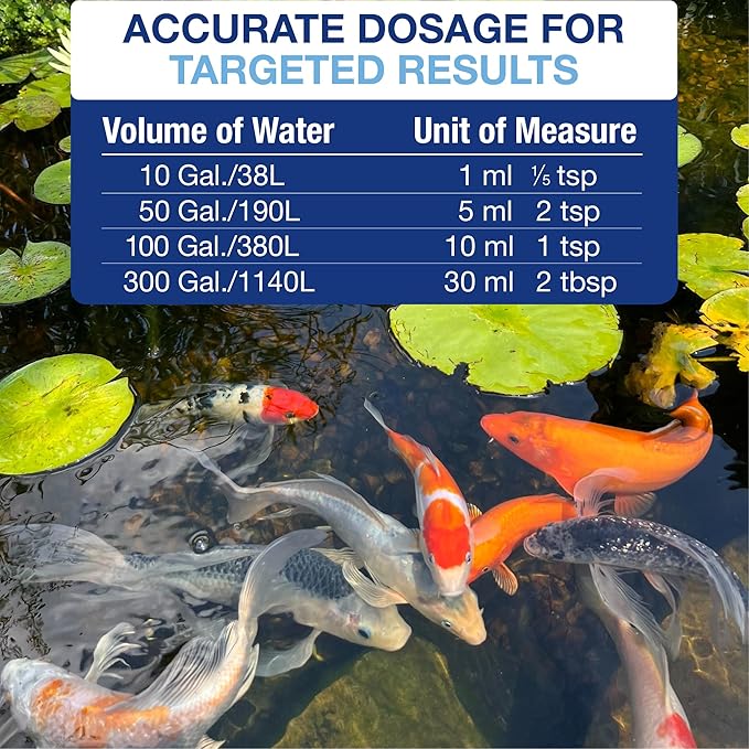 Aquascape 96026 Algaecide for Pond, Waterfall, and Water Features, 1-Gallon
