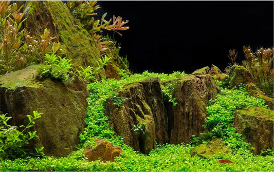 Aquarium Background Exquisite Underwater Grass with Moss Fish Tank Background Underwater Stone Terrarium Background Durable Vivid Leaves Under Water Tank Background 30x12in