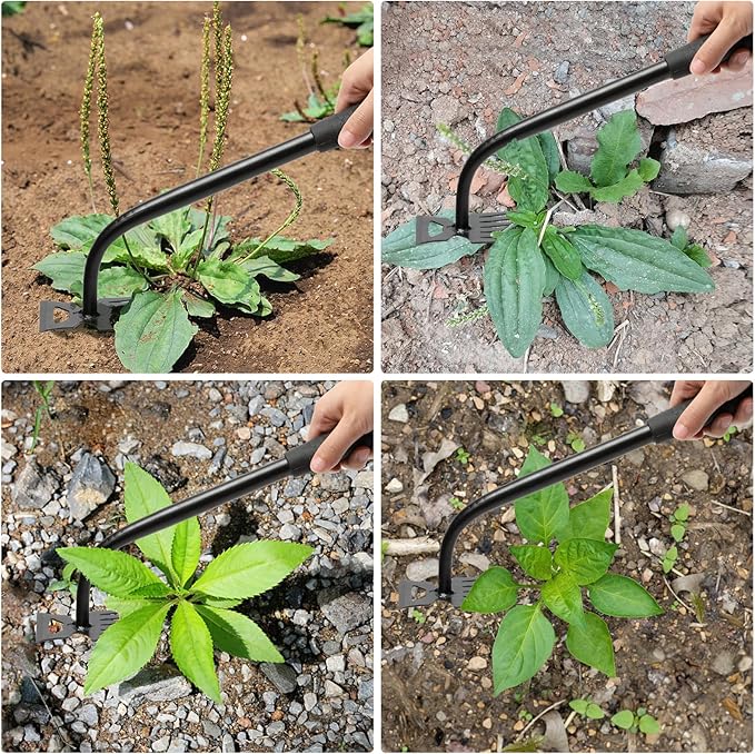 Gardening Hand Weeder Tools, Weeding Artifact Uprooting Weeding Tool, Durable Manganese Steel Hand Weeder Tool, Manual Multifunctional Weeders Gardening Tools for Yard and Garden (6 Teethes)