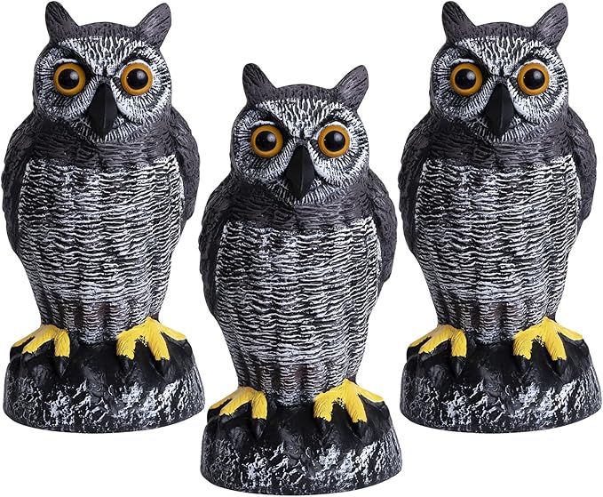 Galashield Owl Decoy | Plastic Owls to Scare Birds Away | Owl Statue for Garden & Outdoors - Pack of 3