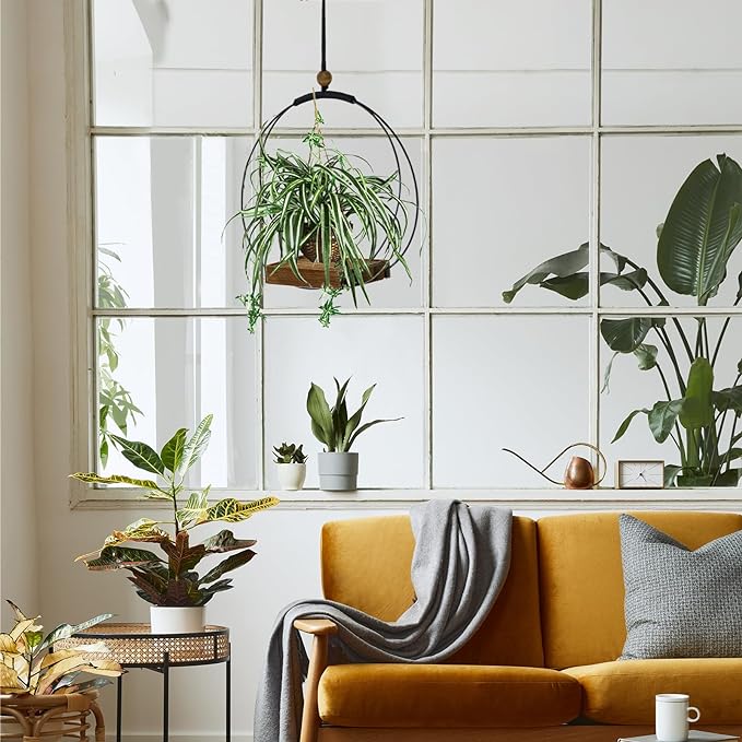 Hanging Planters for Indoor Plants - Plant Hanger Outdoor Pack of 2, Metal Plant Hanger Mid Century, Hanging Wall Ceiling Window, Gift for Mom, Plant Lovers, Housewarming