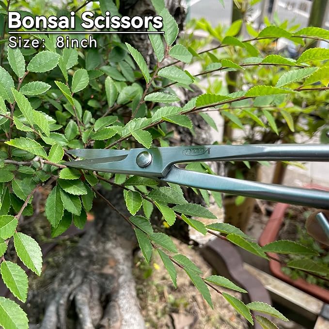 6-Piece Bonsai Tool Set,Concave Cutter,Knob Cutter,Jin Pliers,Wire Cutter,Bonsai Scissors, Root Hook