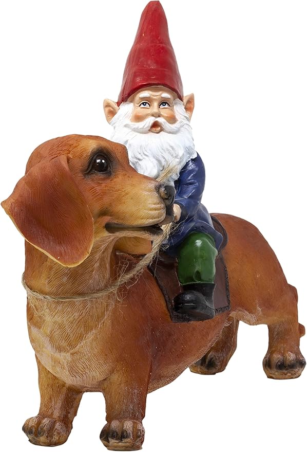 Funny Guy Mugs Gnome and a Dachshund Garden Statue- Indoor/Outdoor Garden Dog Gnome Sculpture for Patio, Yard or Lawn