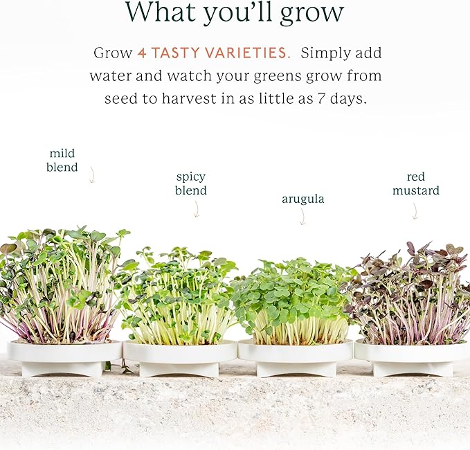 GARDYN Indoor Garden Nursery, Indoor Germination, Hydroponic Growing System - Seed Starter Tray Works with Home Tower Gardens, Vertical Garden Planters & Microgreens Growing Kits