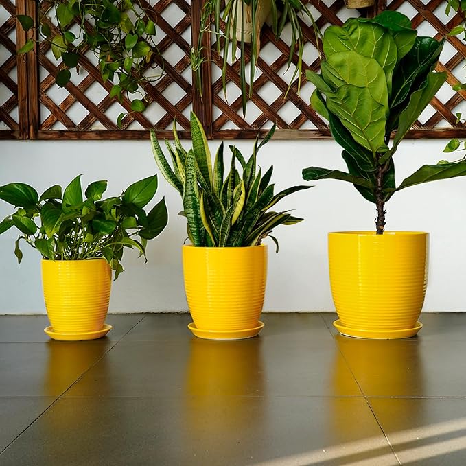 12 Inch Pots for Plants - Ceramic Planter for Indoor Plants Large Plant Pot with Drainage Hole and Saucer Round Outdoor Flower Pot for Garden Home Patio Office Yellow