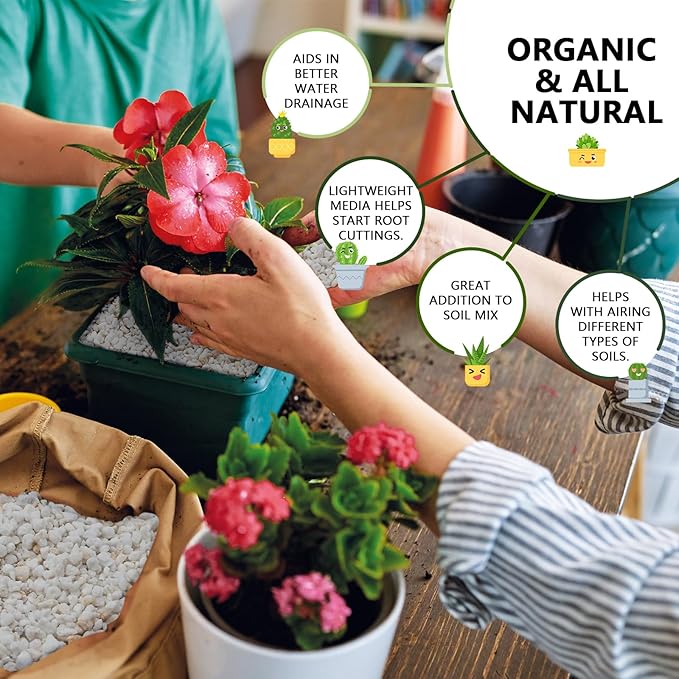 25QT Horticultural Perlite Bulk, Organic Perlite for Plants, Course Perlite for Gardening, for Plants Indoor, for Houseplants, to Promotes Soil Root Growth, and Water Drainage and Plant Growth(3-6mm)