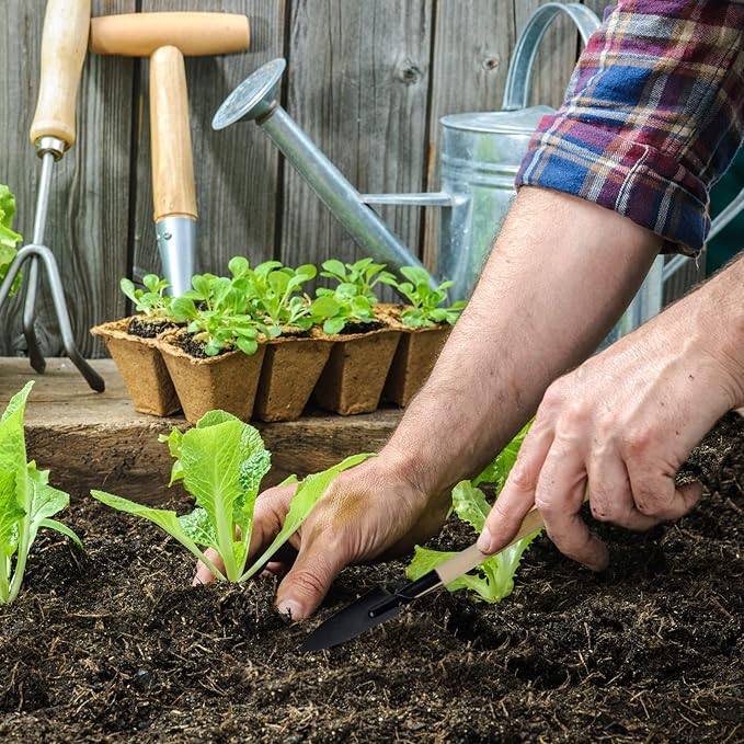 Aodaer 193 Pack Seed Starter Kit Including Seed Starter Tray Peat Pots for Seedlings with Plant Labels, Tool, Plastic Growing Trays Germination Tray Paper Seedling Cups for Indoor Outdoor Garden