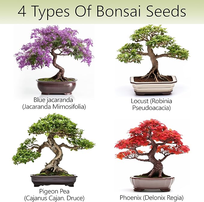 Bonsai Tree Kit – 4X Unique Japanese Bonzai Trees | Complete Indoor Starter Kit for Growing Bonsai Plants with Tools & Planters – Gardening Gifts for Women & Men