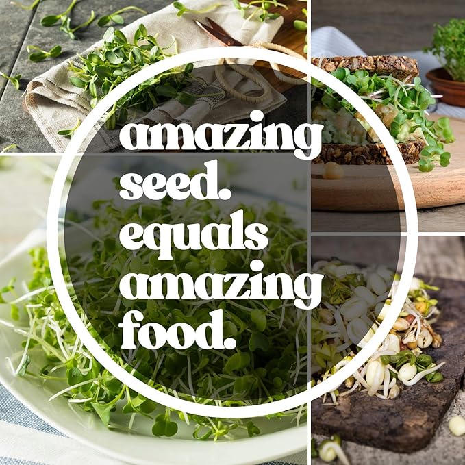 Beet Seeds - Red Round - 5 Lb ~120,000 Seeds - Beta vulgaris - Microgreens Seed - Non-GMO, Heirloom, Open Pollinated, Annual