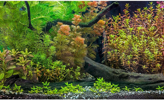 Aquarium Backdrop Underwater Grass Leaves with Pebbles Exquisite Aquarium Background Vivid Green Aquatic Plant Stone River Bed Fish Dead Wood Fresh Leaves Tank Background Decors Vinyl 30x12in