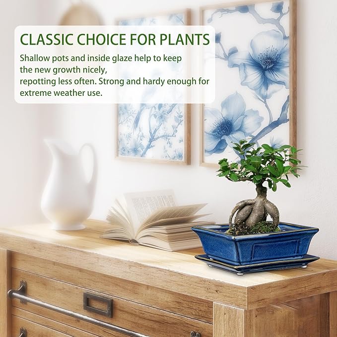 Bonsai Pots Small Shallow Succulent Planters for Live Bonsai Trees Set of 2, 7.5" Ceramic Pot for Succulents Indoor with Drainage Hole and Saucer, Outdoor Cactus Plant Bonsai Pot