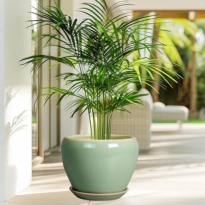 8 Inch Plant Pot - Ceramic Planter for Outdoor Plants Indoor Plant Pot with Drainage Hole and Saucer Mid-Century Round Planter Flower Pot for House Garden Green