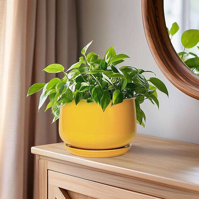 G EPGardening Ceramic Plant Pot - 6 Inch Ceramic Planter with Drainage Hole and Tray, Modern Round Planter, Flower Pot for Indoor Outdoor Plants, Plants Lovers Gifts, House Garden Decor, Yellow