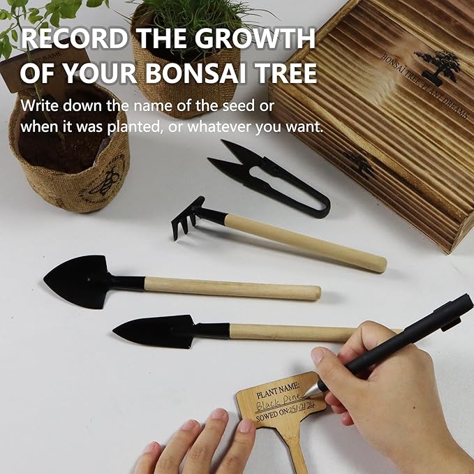 Bonsai Tree Kit, Wooden Gift Box Indoor Bonsai Tree Starter Kit with Tools & Japanese Plants Seeds, Growing DIY Gardening for Plant Lovers (Plant Lover Gift)