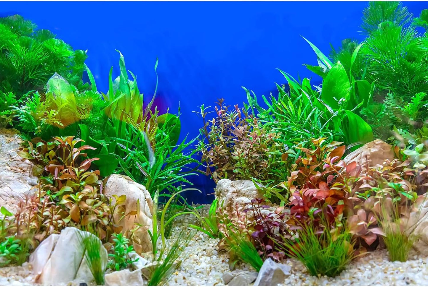 Aquarium Background Green Aquatic Plant Stone River Bed and Lake Fish Tank Background Decor Underwater Grass Leaves with Pebble Aquarium Backdrop Perfect Fish Tank Decors Vinyl 36x18in