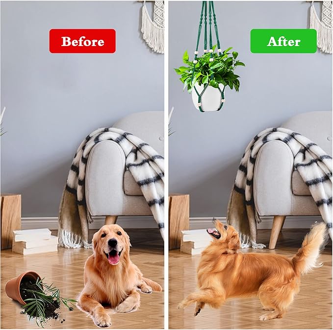 Augshy Macrame Plant Hangers Dark Green Hanging Planters for Indoor Outdoor Home Decor, Hanging Plant Holder No Tassels Set of 2 with 4 Hooks