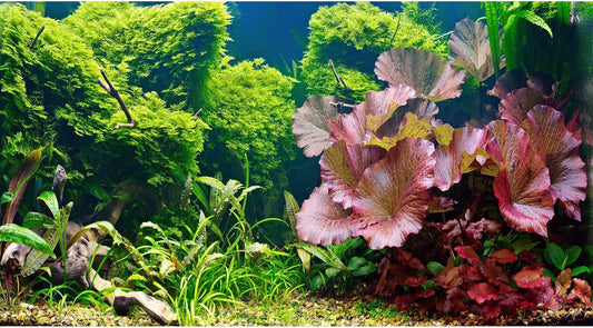 Aquarium Background Underwater Grass Leaves Pebble Aquarium Backdrop Vivid and Fresh Green Aquatic Plant Background Stone River Bed DeadWood Purple Leaves Tank Background Decor Vinyl 60x24in