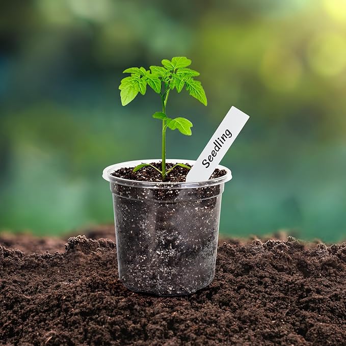 Bonviee Clear Nursery Pots for Plants, 4 Inch Plastic Seedling Pots with Drainage Holes, Planters for Indoor Plants and Small Seed Starters, High Transparency Flower Pots with 20 Plant Labels, 60 Pack