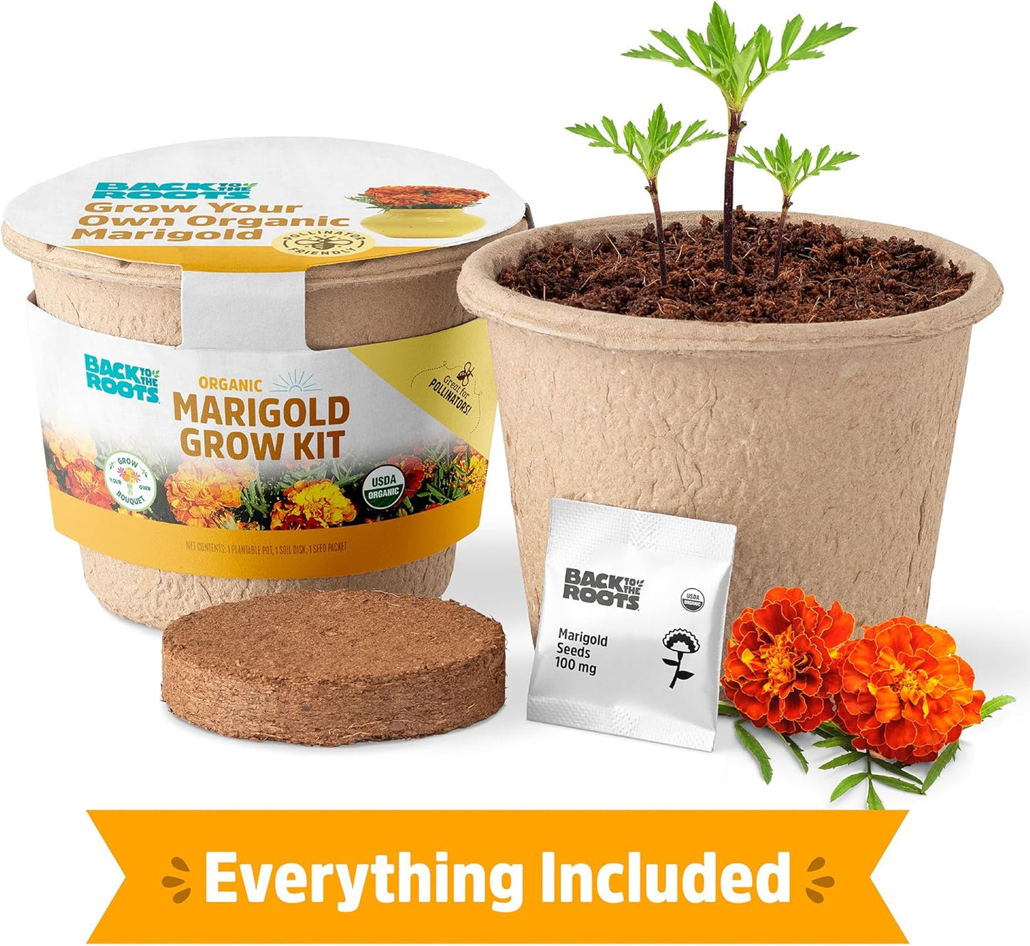Back to the Roots Organic Marigold Flower Grow Kit with Plantable Starting Pot Soil and Seeds