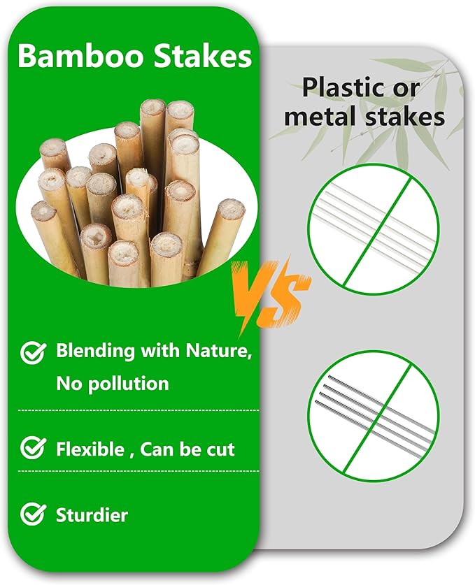 2ft Natural Bamboo Plant Stakes for Tomatoes, Beans, Flowers, Potted, Climbing Plants 25pcs