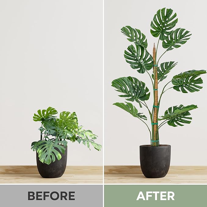 2 Pack 63'' Bendable Moss Pole Monstera Plant Support for Climbing Indoor Plants - Stakes for Potted Climbers - Tall Sticks Indoor Trellis for Houseplants - Accessories for Monstera Pot