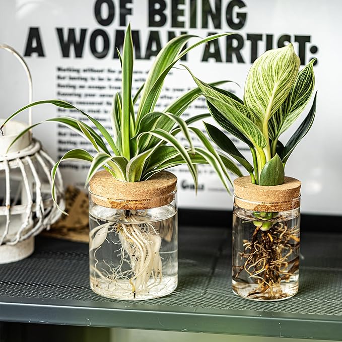 Glass Plant Propagation Stations for Plants – Set of 4(6 Large & 6 Small) Hydroponic Vases for Plant Cuttings,Flower Arrangements, Home & Office Decor–Desktop Vases for Living Room, Bedroom (12)