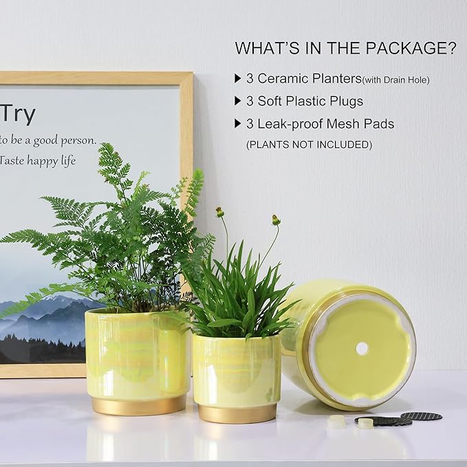 Gepege Indoor Pots for Plants, Ceramic Planter with Drainage Hole, 6.0 inch+5.0 Inch+4.0 Inch. Succulent Orchid Flower Pot - Rainbow Pearl Glaze