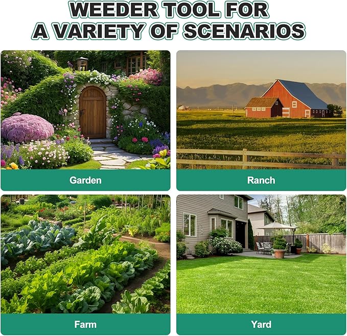 Berry&Bird Triangle Hoe, 60'' Winged Weeder Garden Hoes with Long Wood Handle, Gardener Stainless Steel Warren Hoe, Garden Weeder Hoe Tool for Quickly Weeding, Edging and Gardening Tools