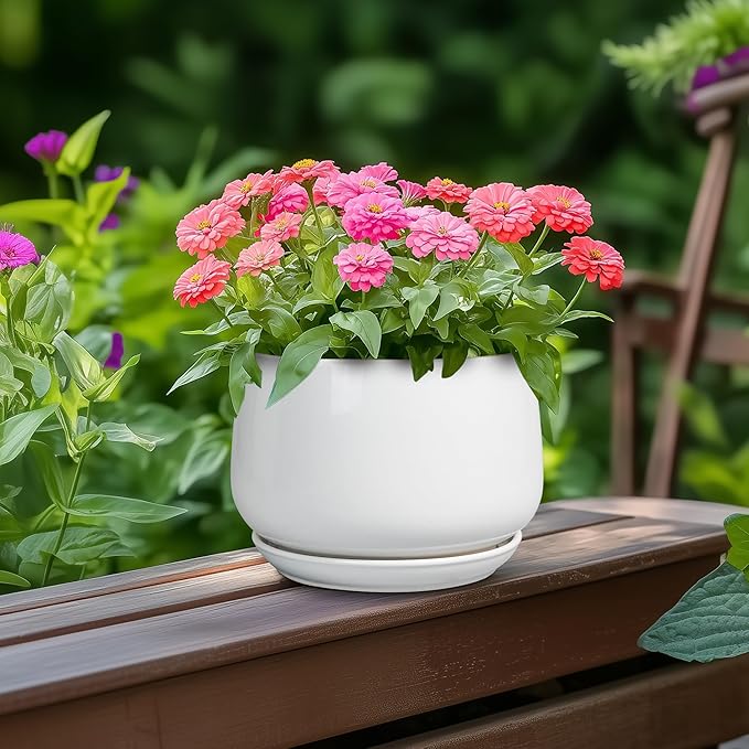 G EPGardening Ceramic Pots for Plants - 6 Inch Planter for Indoor Plants, Flower Pots with Drainage and Ceramic Tray, Modern Office Decor, Gifts for Plant Lovers, White