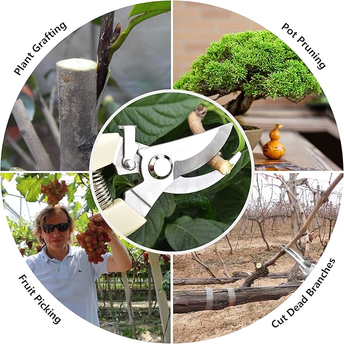 20 Pcs Garden Scissors for Plant, Tip Pruning Shears for Cutting Flowers, Trimming Plants, Bonsai and Fruits Picking (Bypass Blade Pruner)