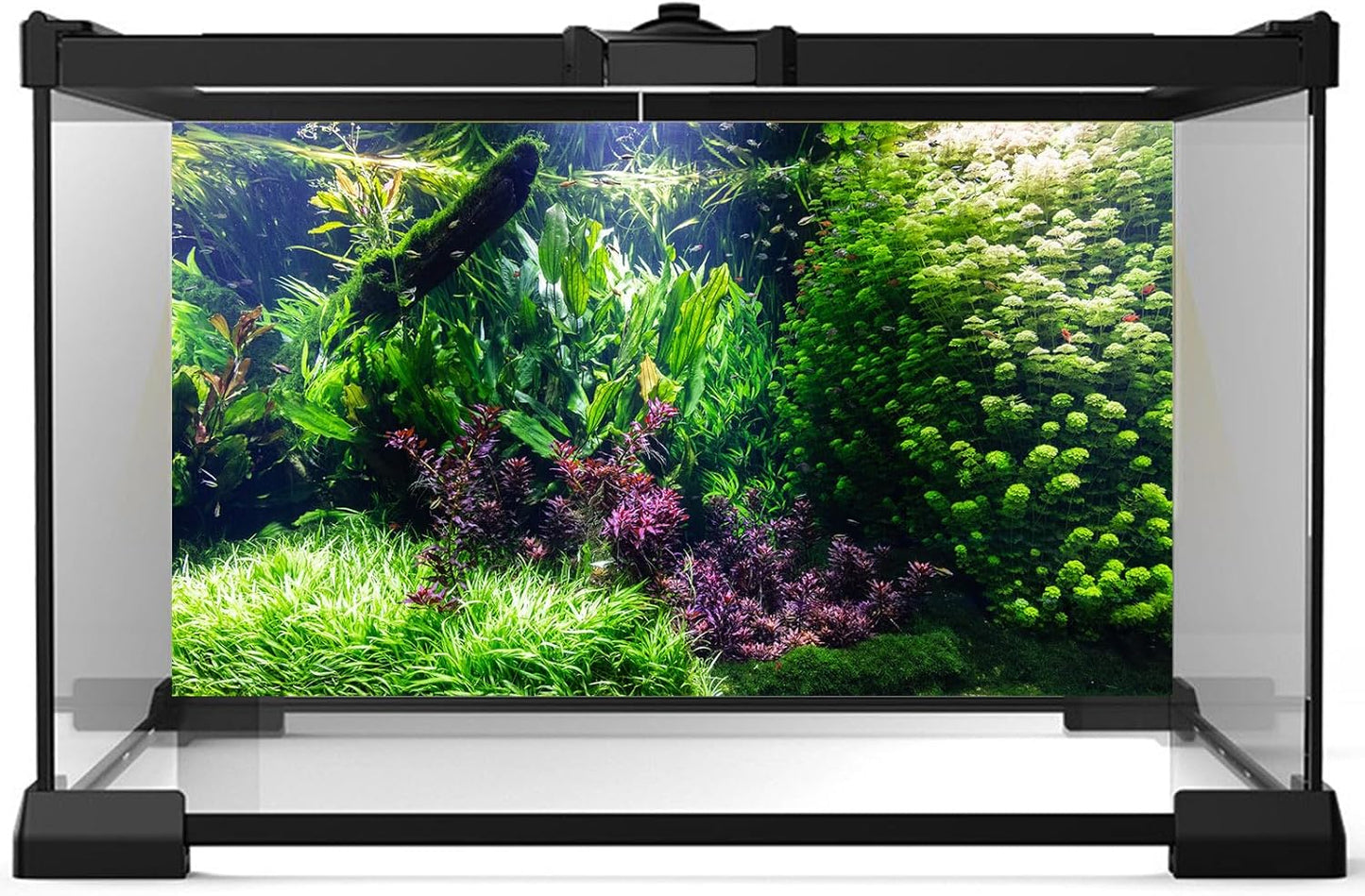 Aquarium Background Various Underwater Grass Plants Aquarium Backdrop Vivid and Fresh Green Aquatic Plants Stone River Bed and Dead Wood Tank Background Vinyl 30x18in