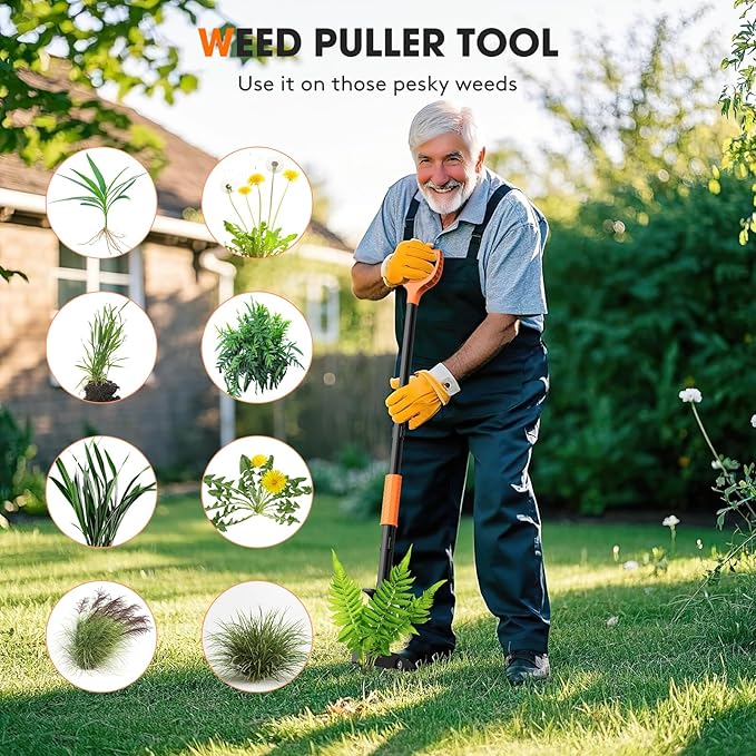 4-Claw Weed Puller Tool, 42" Stand Up Gardening Hand Weeding Tool, Upgraded Iron Claw Garden Weeder with D-Handle, Root Weeder Tool with Weed-Eject Design - Standing up Mowing is Easier