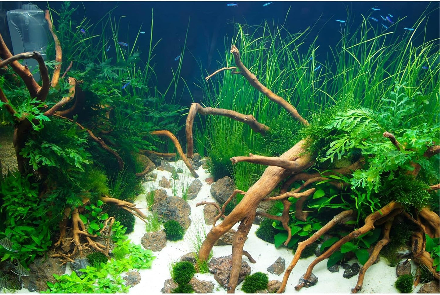 Aquarium Background Various Underwater Grass Plants Aquarium Backdrop Vivid and Fresh Green Aquatic Plants Stone River Bed and Dead Wood Yellow Stone Fish Tank Background 24x16in