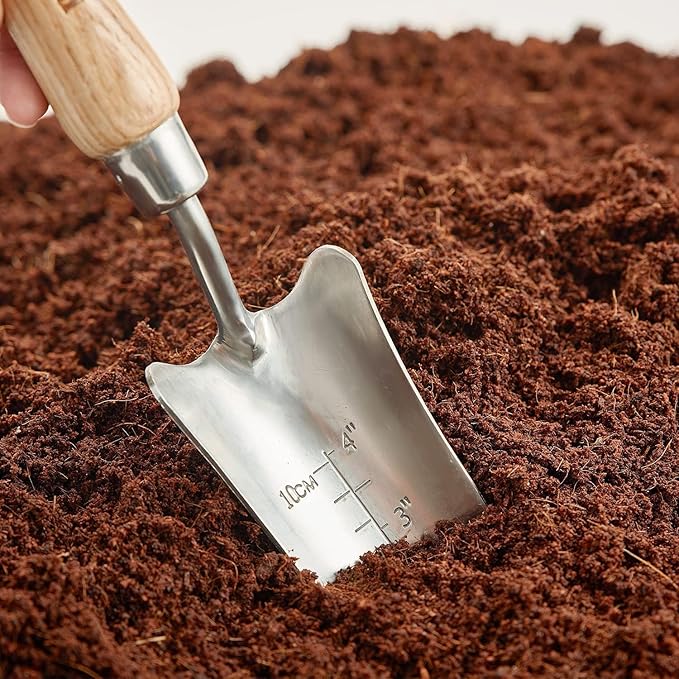 Berry&Bird Transplant Trowel with Measurements, Garden Stainless Steel Potting Hand Trowel with Wooden Handle, Small Garden Hand Shovel Transplanter Tool for Planting Digging Transplanting Gardening