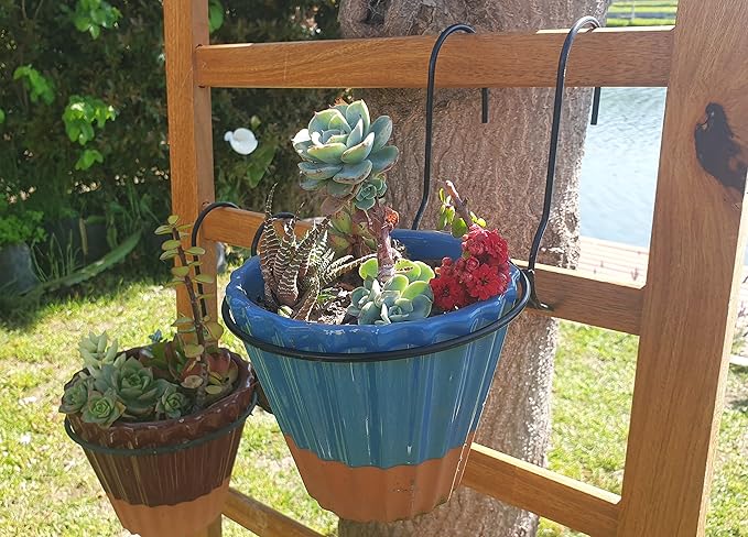 6 Pieces, 8 inches Iron hanging Flower Pot. Metal Plant Wall Hanger, Vertical Yard Garden. Planter Hook Ring, Rail Metal Fence. Indoor and Outdoor. Wire Trellis. Collapsible Bracket. (8 inches)