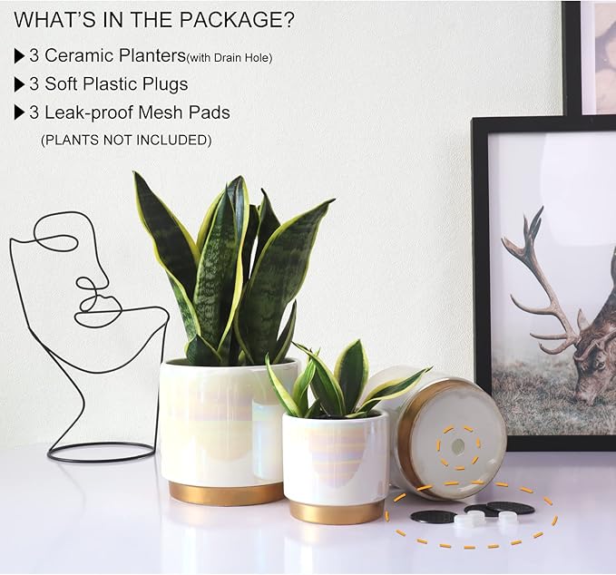 Gepege White Indoor Pots for Plants, Ceramic Planter with Drainage Hole, 6.0 inch+5.0 Inch+4.0 Inch. Succulent Orchid Flower Pot - Rainbow Pearl Glaze