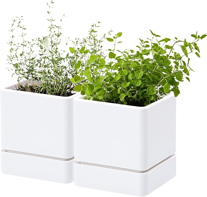 4 Inch Herb Planter Pot, Plastic Planter with Drainage Holes and Saucer, Modern Decorative Gardening Pot for Indoor Plants, Flowers, Herbs, Succulents, White, Set of 2, 76-Y-A-2
