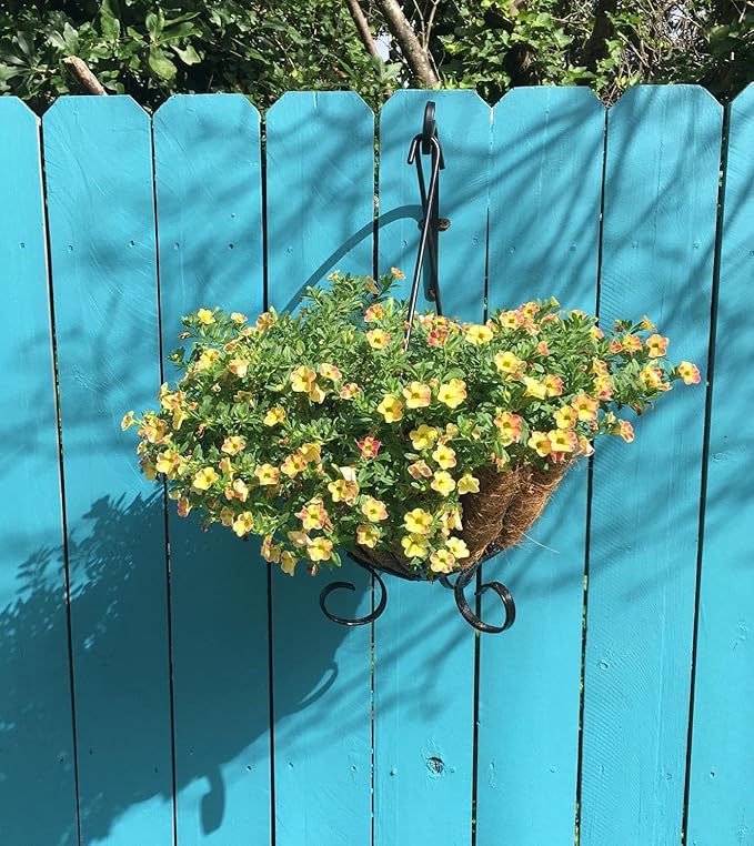 2 Pack Heavy Duty Plant Hanger Bracket, 16Inch Hanging Brackets for Plants Outdoor and Indoor, 80lbs Holding Capacity Metal Plant Wall Hooks, Black Hanging Plant Brackets for Flower Wind Bird Feeder