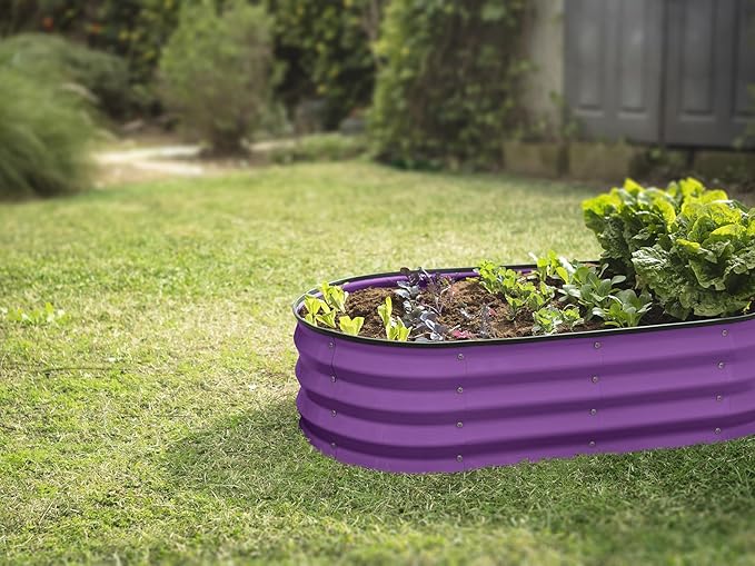 Galvanized Raised Garden Beds Outdoor // 4×2×1 ft Planter Raised Beds for Gardening, Vegetables, Flowers (Purple) // Large Metal Garden Box